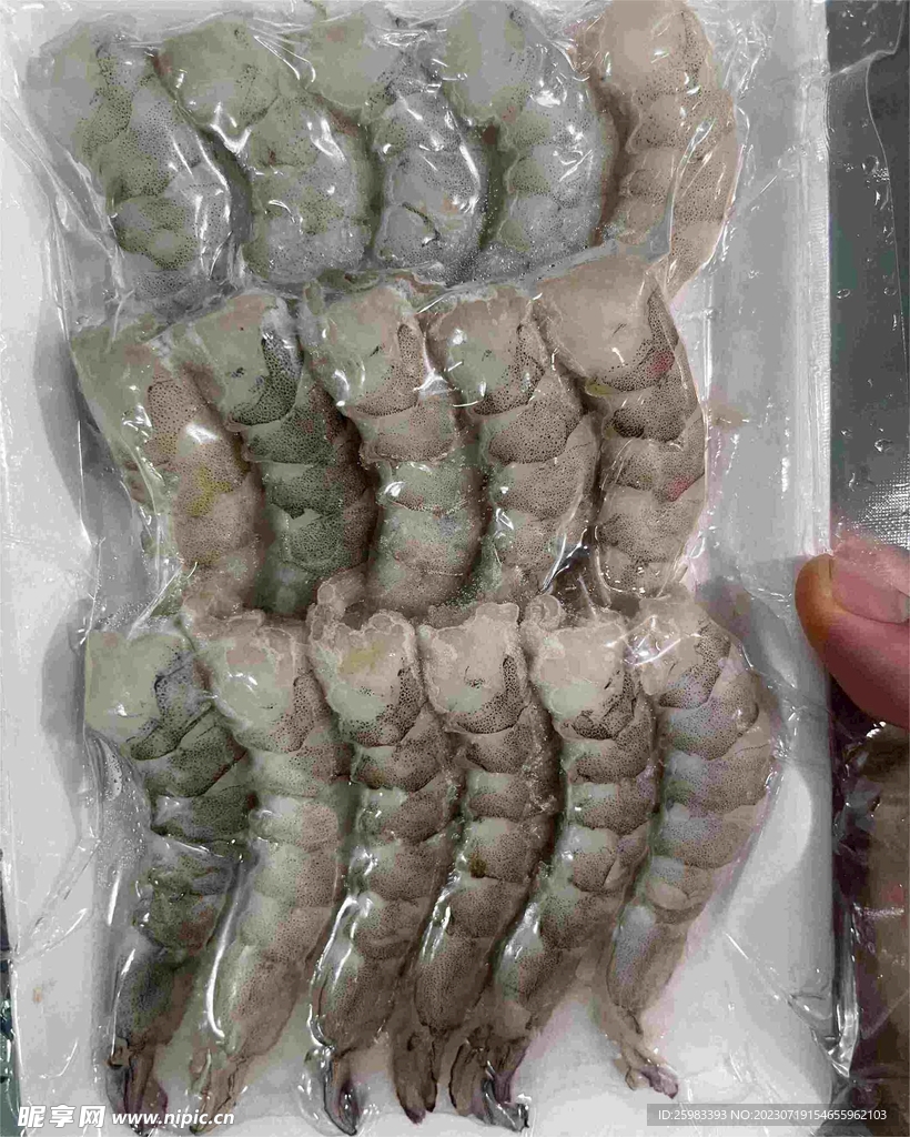 大对虾