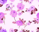 玫瑰花