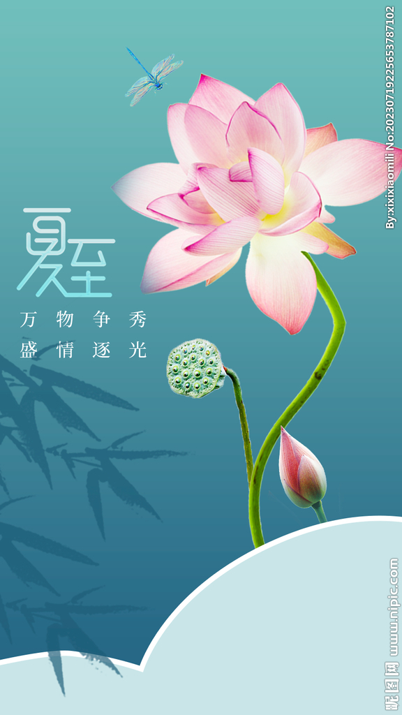 夏至