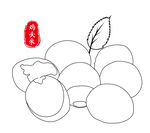 茨实鸡头米线稿矢量
