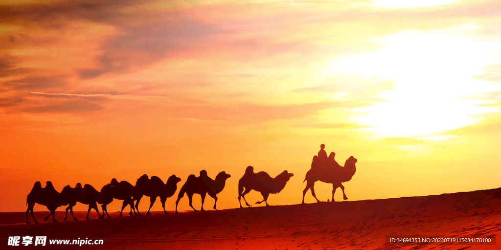 沙漠骆驼团队