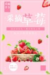 采摘草莓