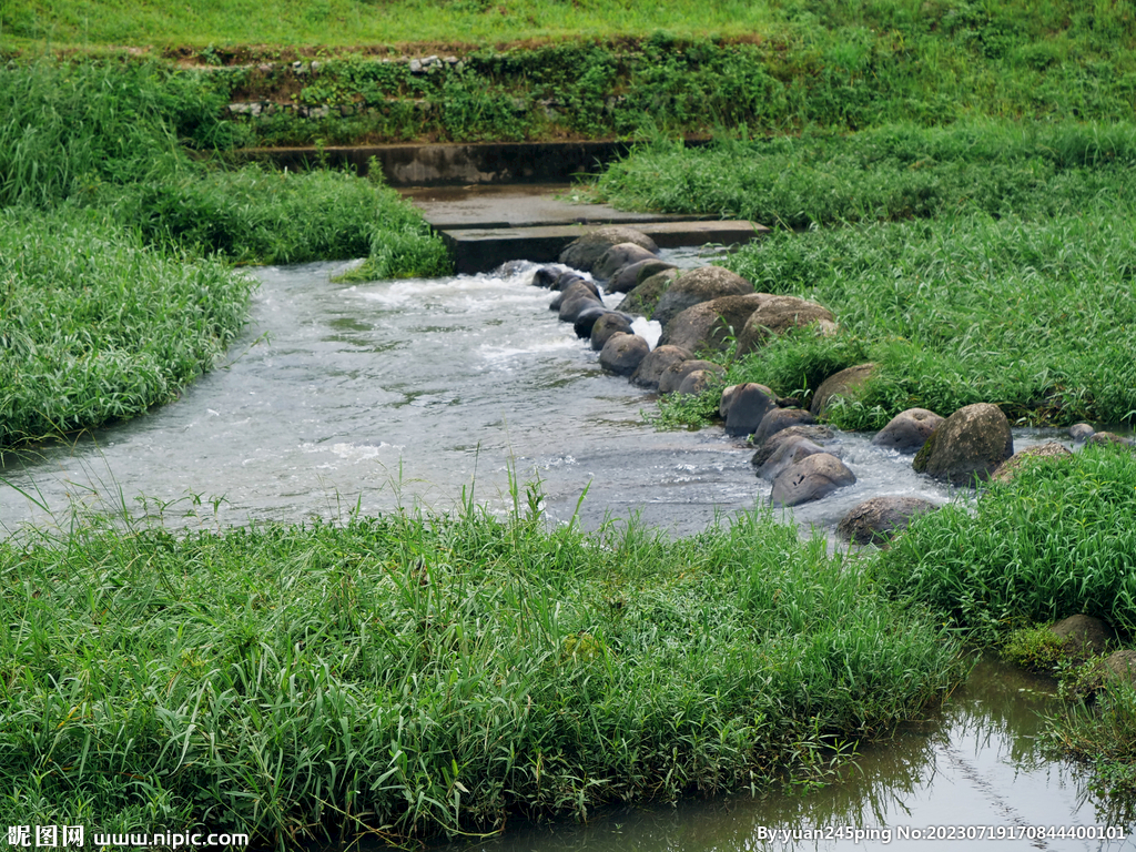 湿地河道