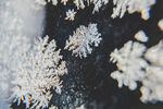雪花