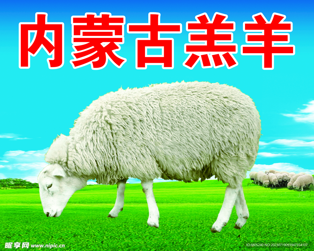 羔羊 肥羊 羊