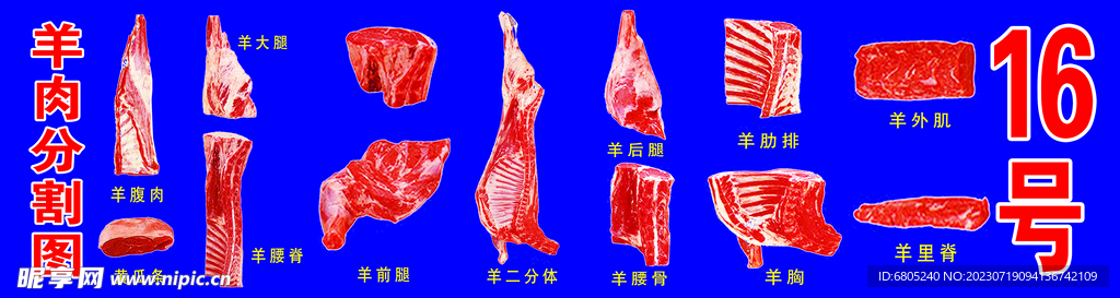 羊肉分割图 蓝色