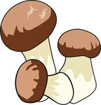 蘑菇插画  