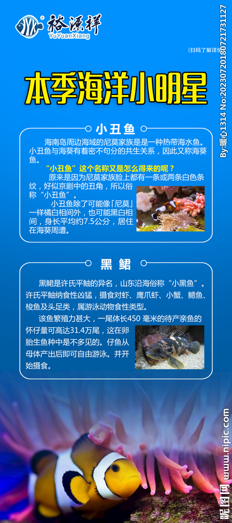 鱼