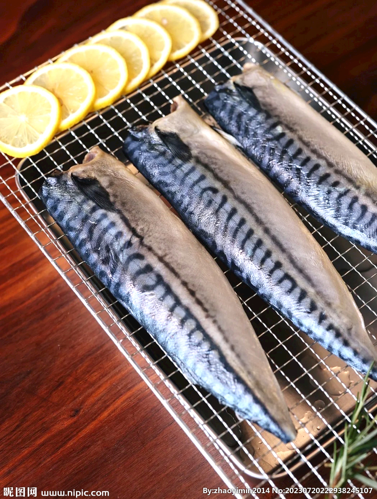 青花鱼