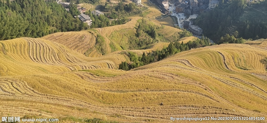 梯田