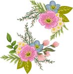 手绘花卉