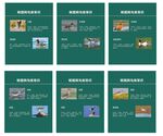 鸟类知识
