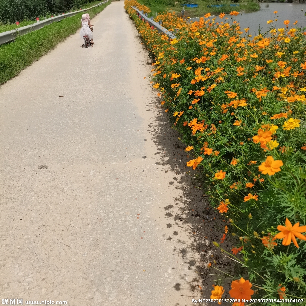 花路