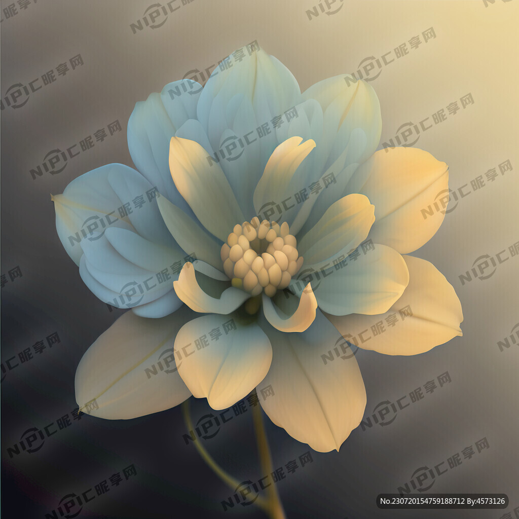 琼花
