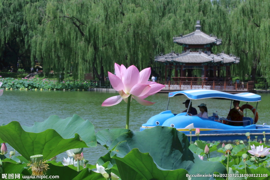公园风景 
