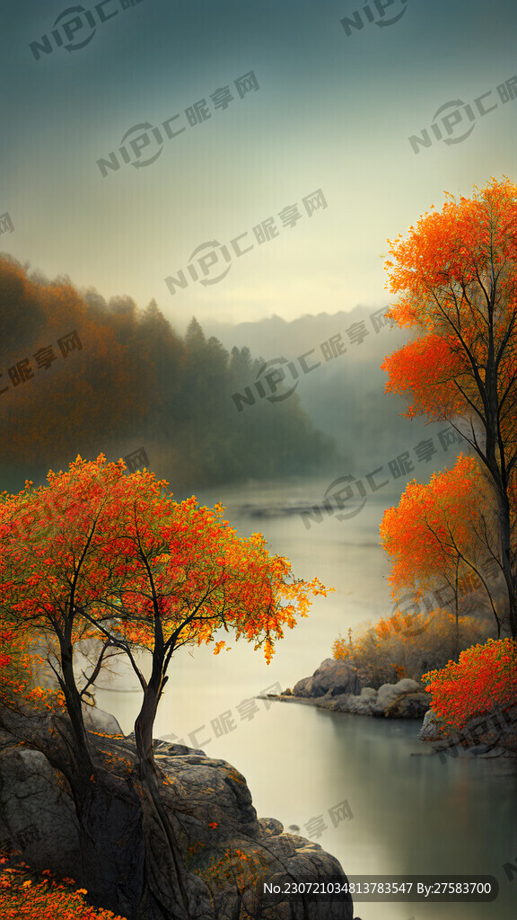 桂花树 河边 岩石平台 秋天