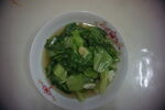 生菜