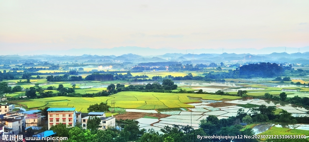 麦田