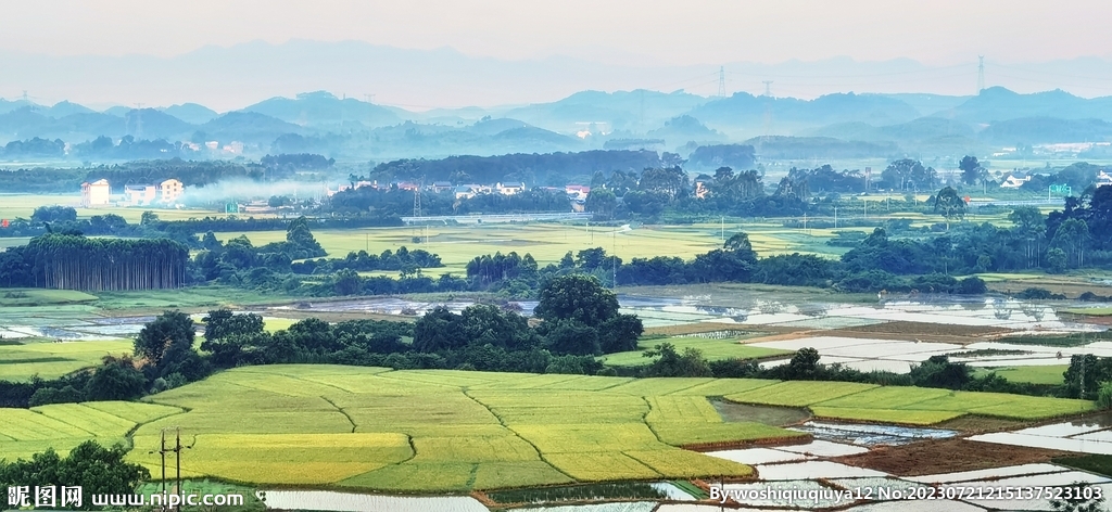 麦田