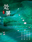 处暑转发图