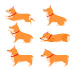 卡通柴犬
