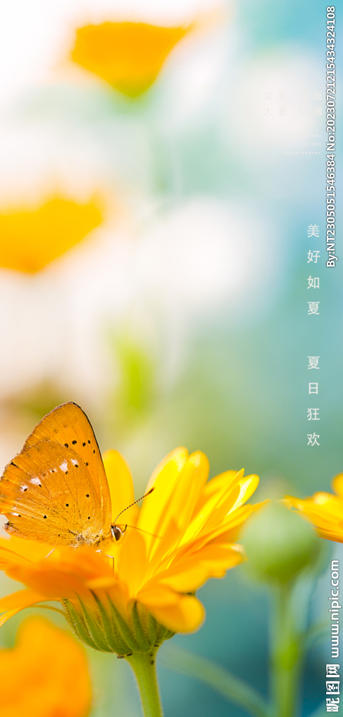 处暑海报