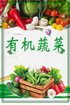 有机蔬菜