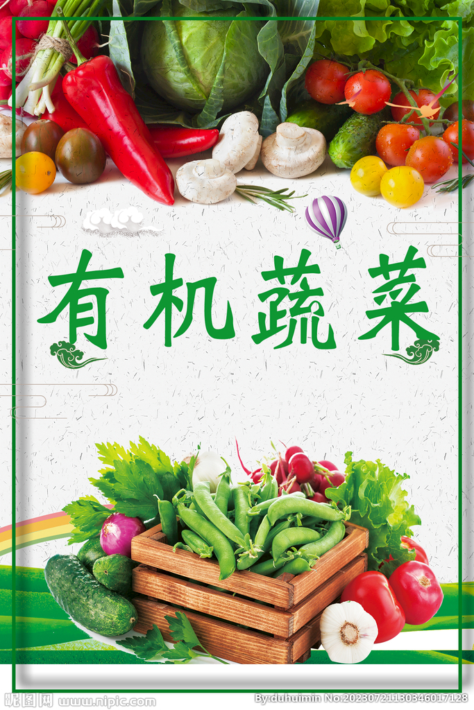 有机蔬菜