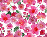 水彩花扫描