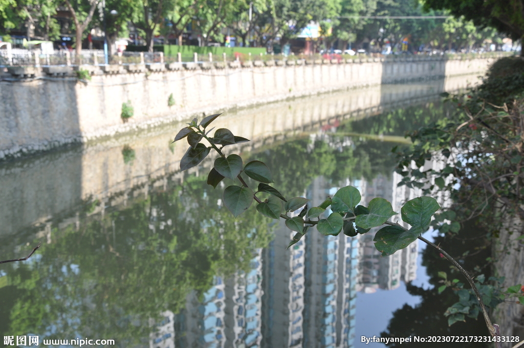 广州江南西河涌水道