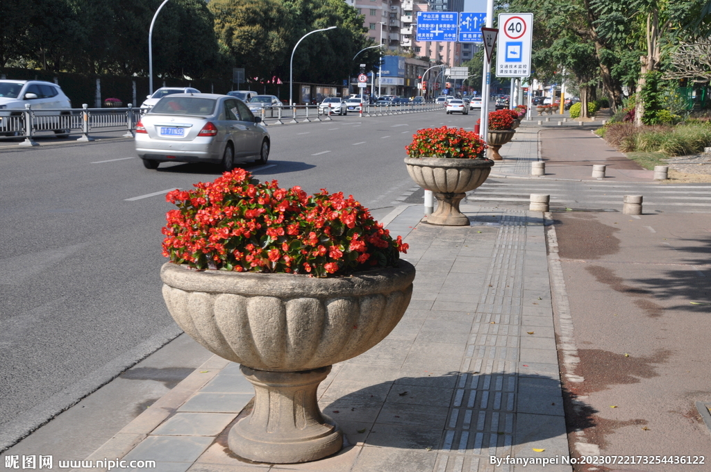 城市景观大理石花坛与一串红绿植