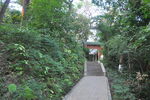 上山路台阶