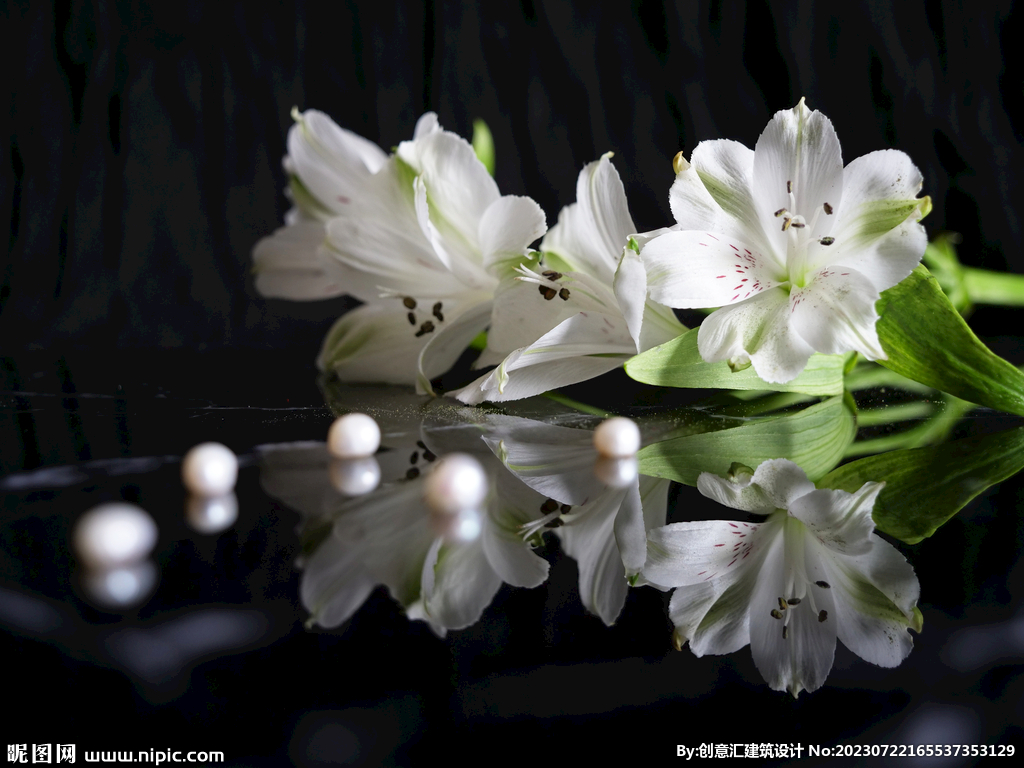 百合花