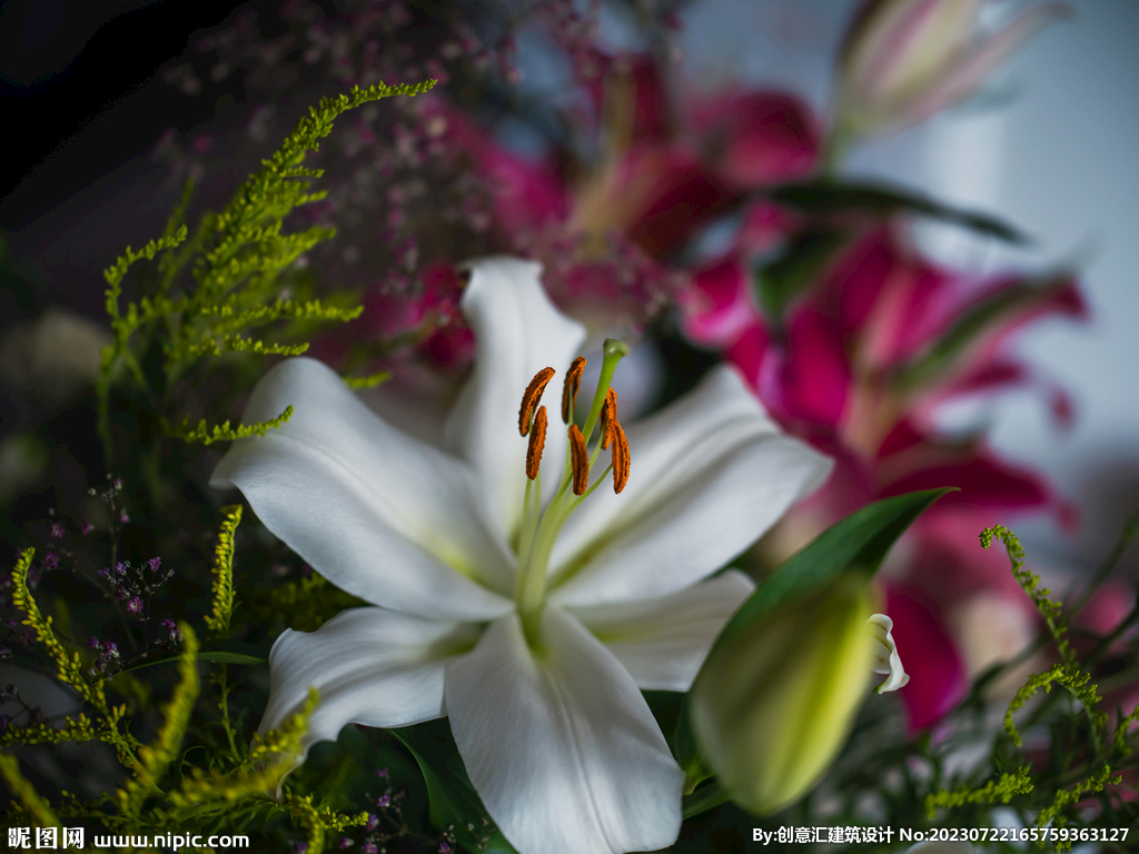 百合花