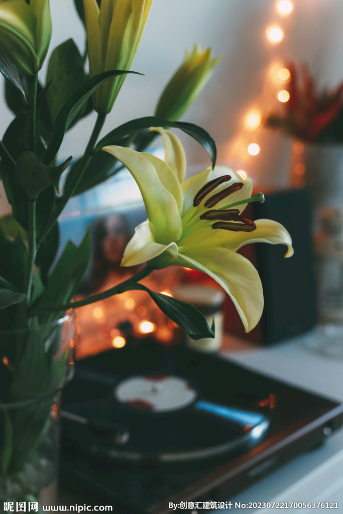 百合花