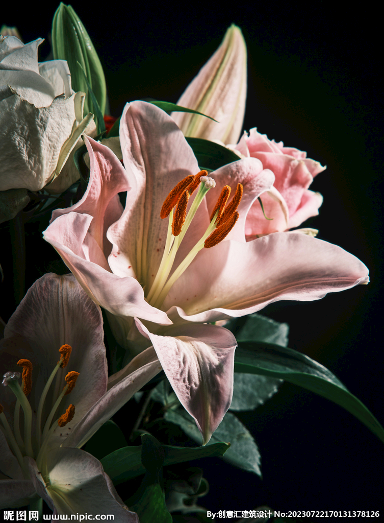百合花