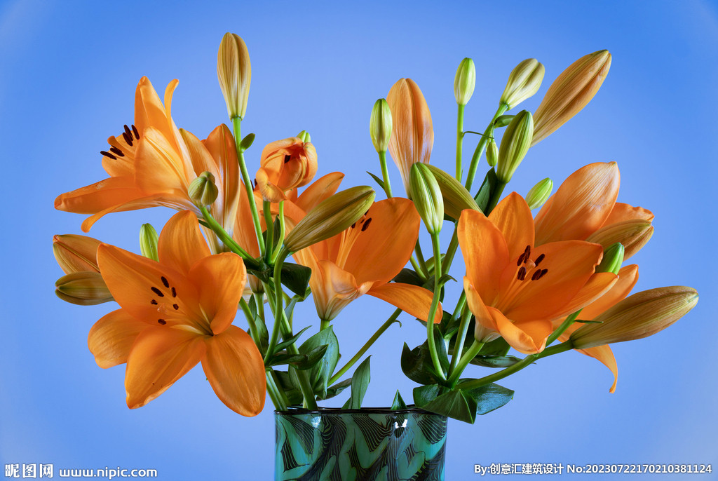 百合花
