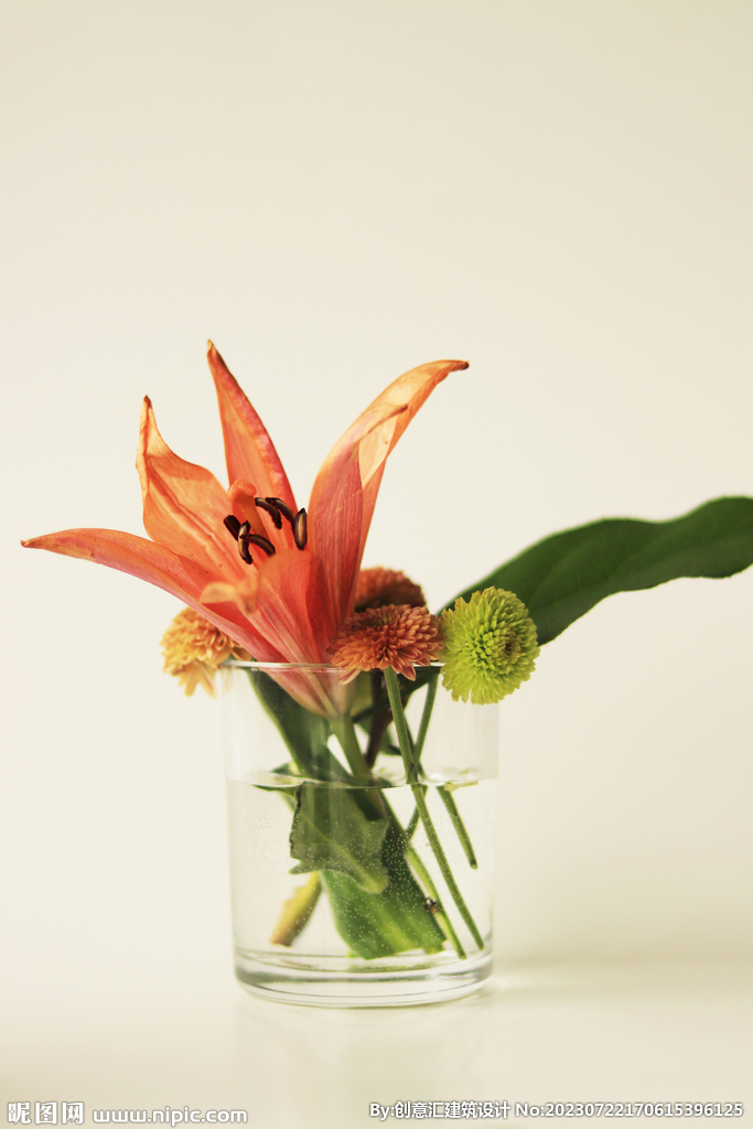百合花