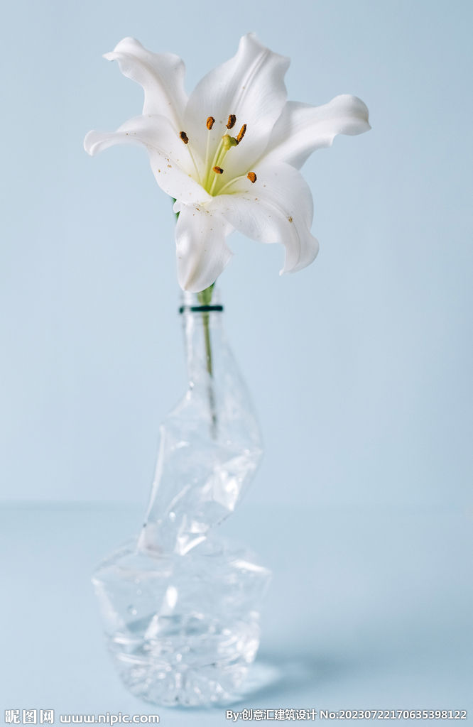 百合花