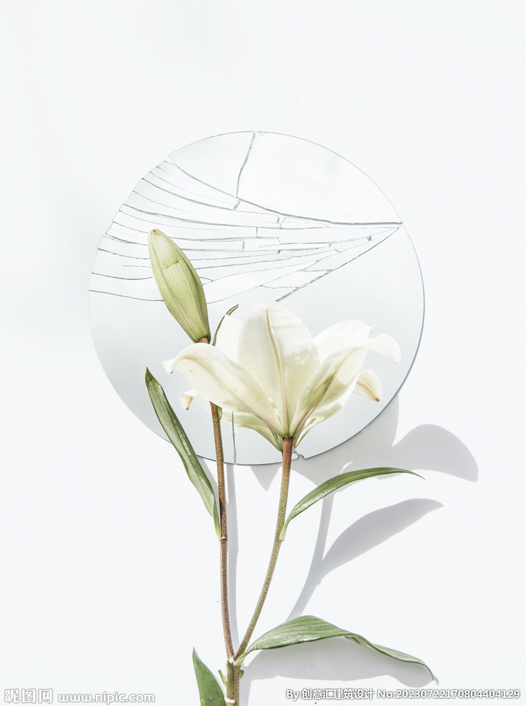 百合花