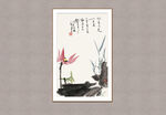 荷花清韵