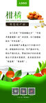 柑橘展架