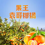 橘子主图
