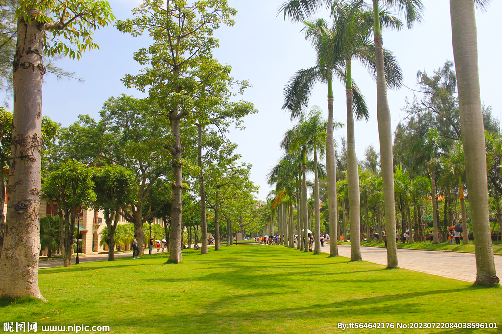 厦门大学旅游