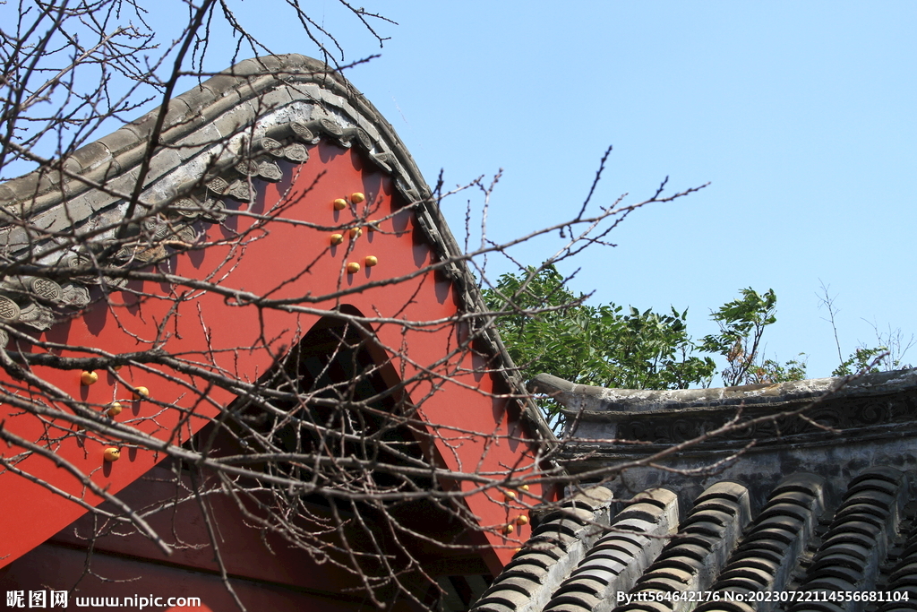 枯枝屋檐禅意