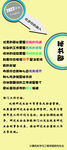 秘书部正式介绍