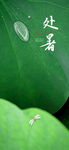 处暑海报