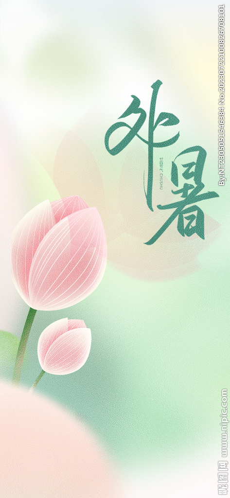 处暑荷花