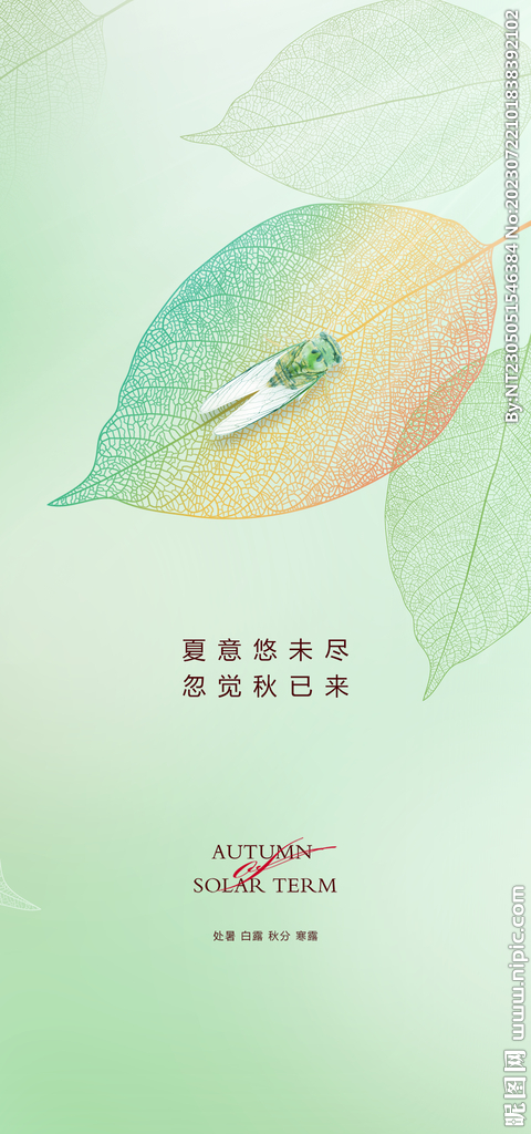 处暑白露节气