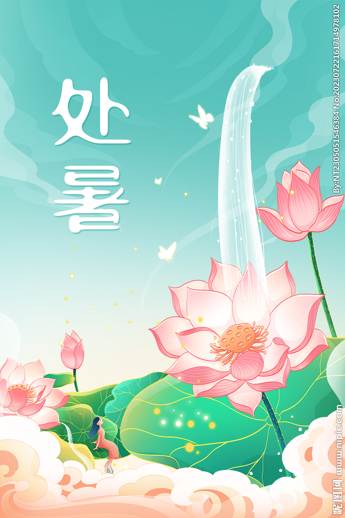 处暑荷花